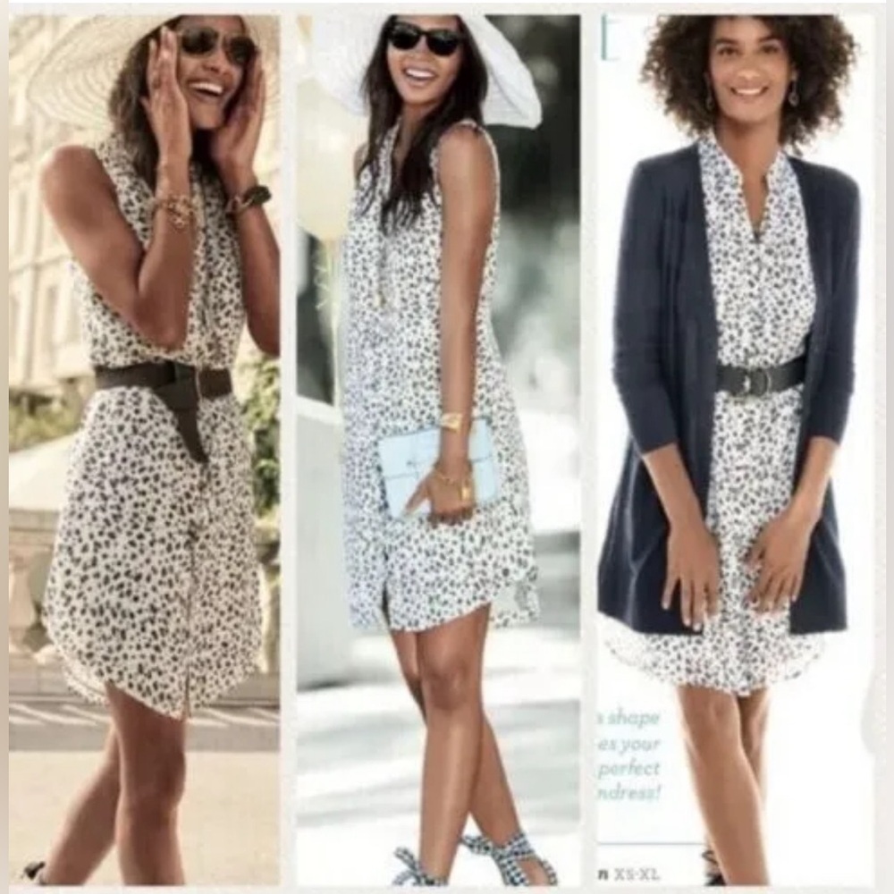 CAbi Camilla Sleeveless Button Front V Neck Shirt Dress